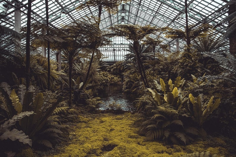 Tower Gardens